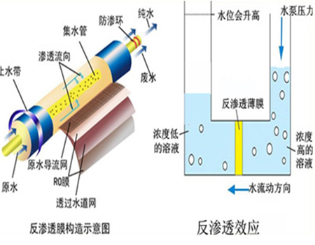 反滲透膜